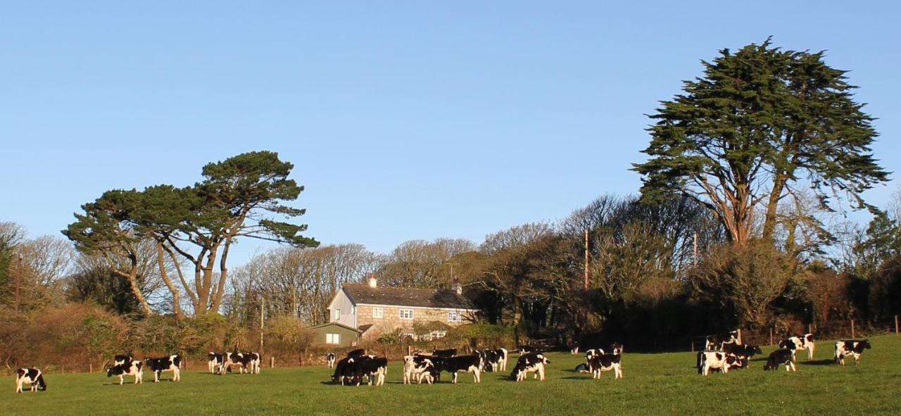 مبيت وإفطار St Ives Coombe Farmhouse المظهر الخارجي الصورة
