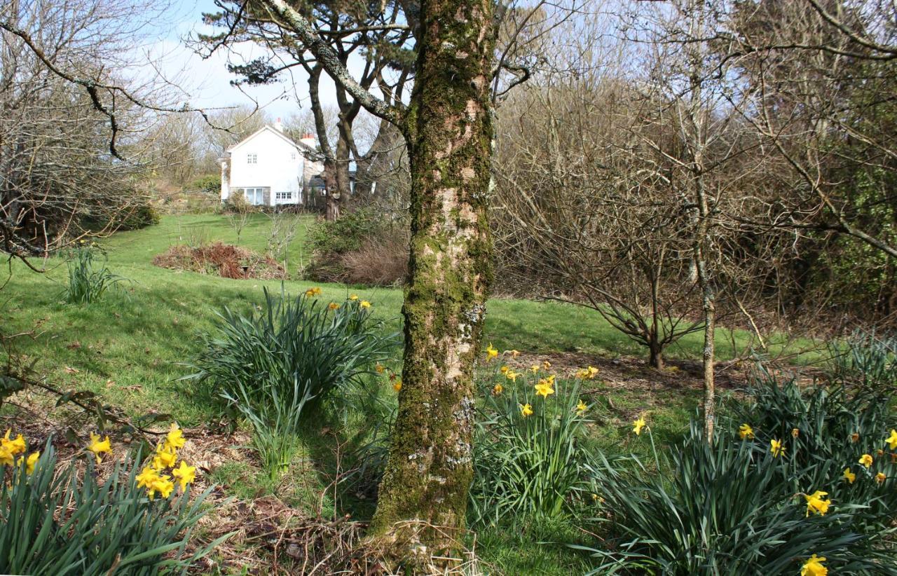 مبيت وإفطار St Ives Coombe Farmhouse المظهر الخارجي الصورة