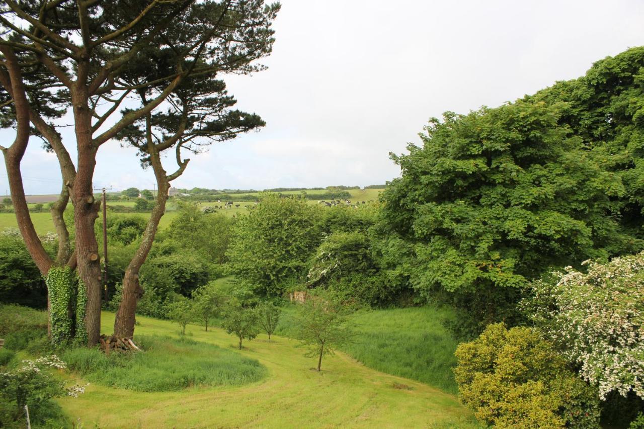 مبيت وإفطار St Ives Coombe Farmhouse المظهر الخارجي الصورة