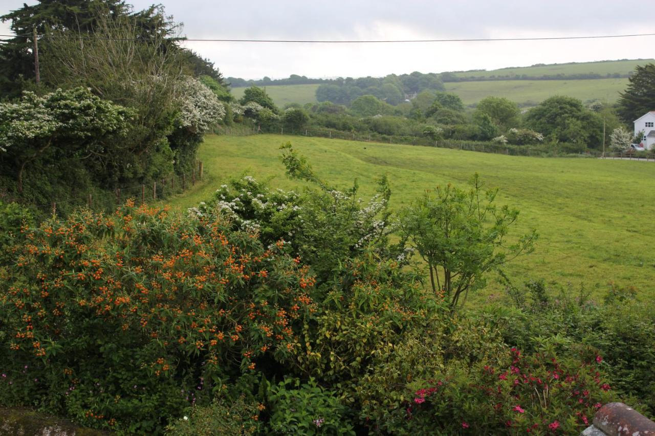 مبيت وإفطار St Ives Coombe Farmhouse المظهر الخارجي الصورة